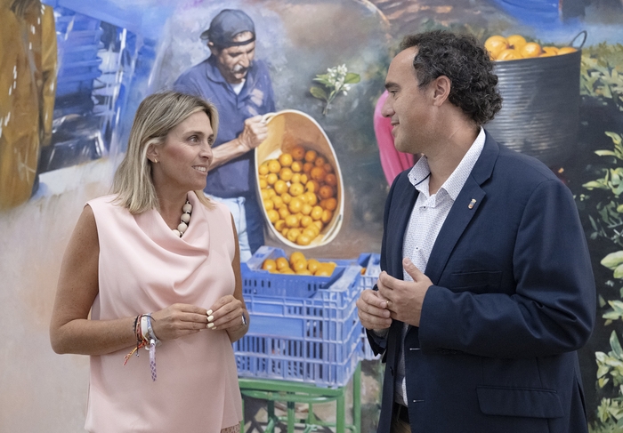 La Diputació de Castelló millora el senyal de TV en nou municipis de menys de 5.000 habitants per a garantir un “interior connectat”