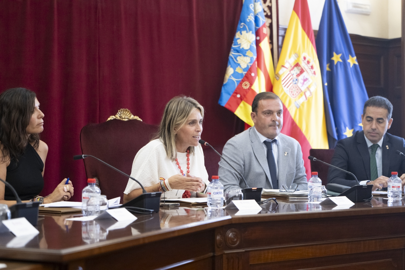 La Diputació de Castelló exigirà al Govern d'Espanya una auditoria urgent sobre les fallades de les polseres antimaltractament